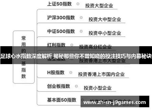 足球心水指数深度解析 揭秘那些你不曾知晓的投注技巧与内幕秘诀
